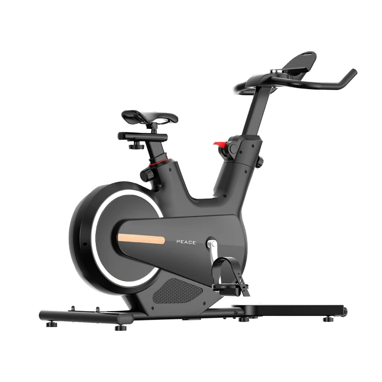 Bicicletta stazionaria Casa Mute Mute Mute Interesty e Fitness Equipment Bicycle per pedali interni 1