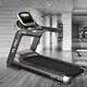 Manual Treadmill for Sale by Ciapo 2