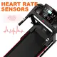 Ciapo Commercial Fitness Equipment Distributors Unisex Commercial Fitness Equipment Distributorscompany 6