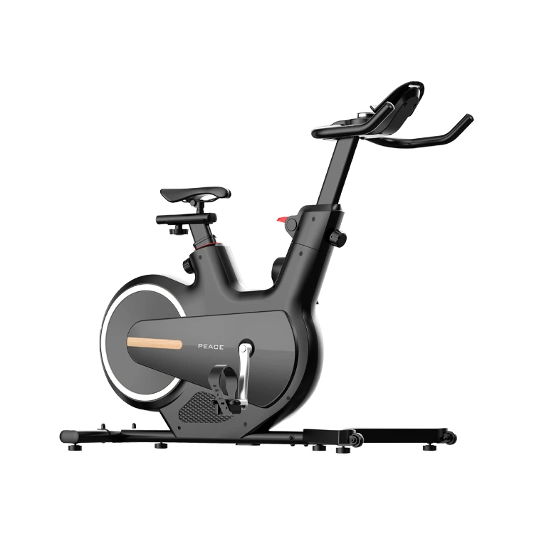 Regolazione della resistenza intelligente della bicicletta a pedale per interni per il controllo magnetico della casa Esercizio di fitness in bicicletta 1