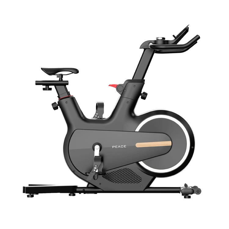 Il controllo magnetico silenzioso della bici da esercizi per la casa intelligente non occupa la bici che gira lo spazio 1