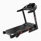 Ciapo Walking Trepishmill 0,8-14 km/h a piedi Treadmillcompany 4