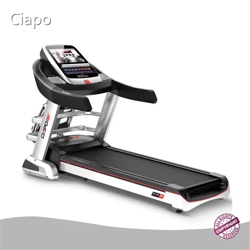 Ciapo Professional Fitness Equipment Brands 4HP Supplier 1