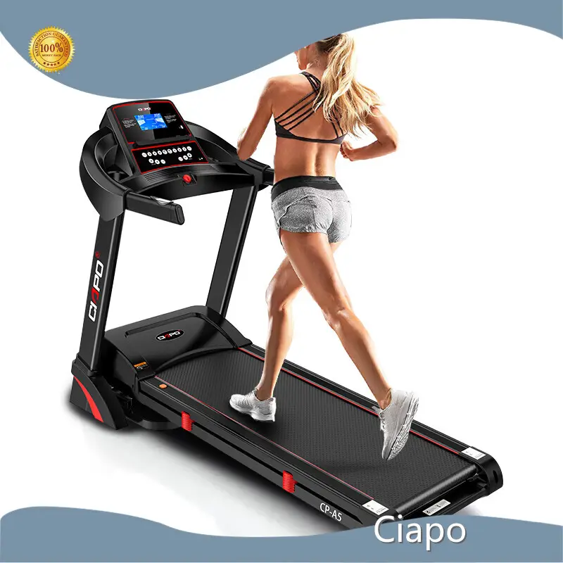 Products Fitness Equipment Wholesale Distributors 45-47cm Ciapo Factory 1