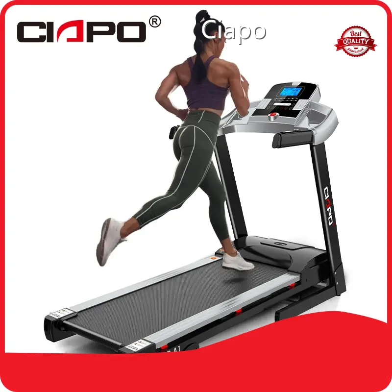 Ciapo Home Fitness Gear DC Motor Peak Power 2.0HP Manufacturer 1