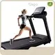 Best Top Rated Treadmills Company 1